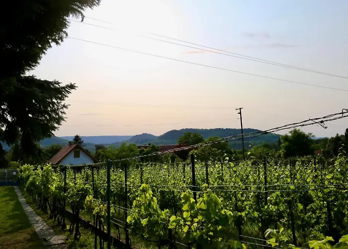 Apartamento Aranka Néni Házikója *